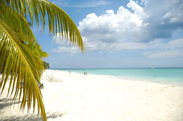 Tropischer Strand Mit Weißem Sand Und Palmen Die Dominikanische Republik — Stockfoto