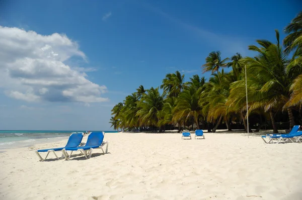Tropikalna Plaża Biały Piasek Palmy Republika Dominikańska Wyspa Saona — Zdjęcie stockowe
