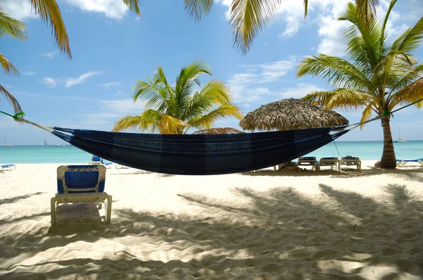 Tropikalna Plaża Biały Piasek Palmy Republika Dominikańska Wyspa Saona Obrazek Stockowy