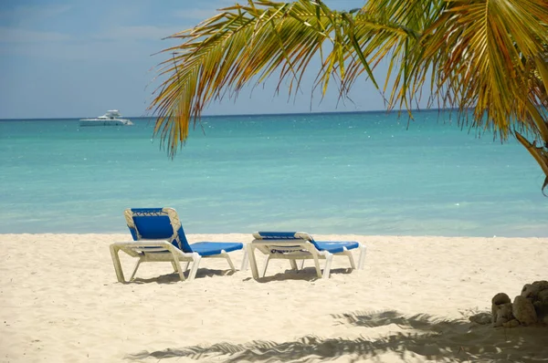 Trópusi Strand Fehér Homok Tenyér Dominikai Köztársaság Saona Sziget — Stock Fotó