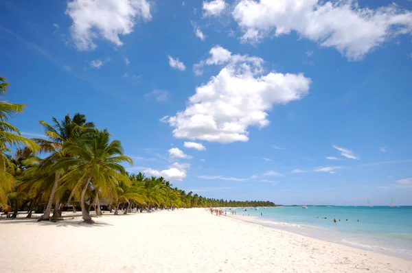 Tropikalna Plaża Biały Piasek Palmy Republika Dominikańska Wyspa Saona — Zdjęcie stockowe