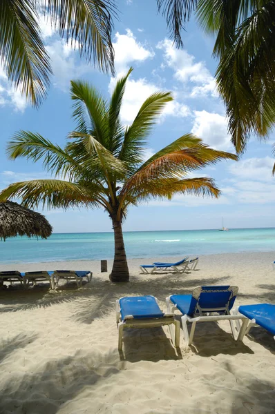 Tropik Kumsal Beyaz Kum Palmiyeler Dominik Cumhuriyeti Saona Adası — Stok fotoğraf