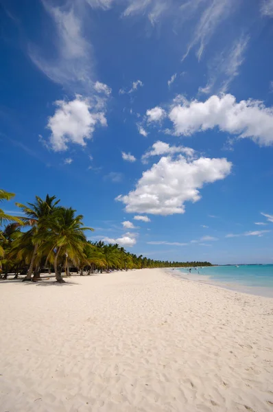 Praia Tropical Areia Branca Palmeiras República Dominicana Saona Island — Fotografia de Stock