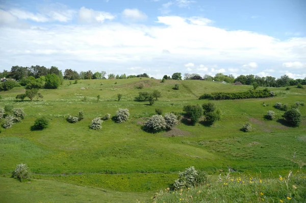 Green Landscape Blue Sky Clouds — Stock Photo, Image