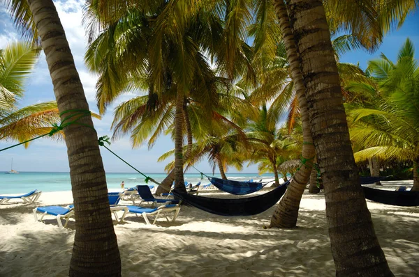 Tropischer Strand Mit Weißem Sand Und Palmen Die Dominikanische Republik lizenzfreie Stockbilder