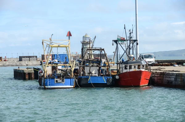 Vissersboten in de haven Rechtenvrije Stockafbeeldingen