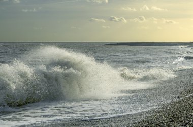 rüzgarlı deniz kıyısı