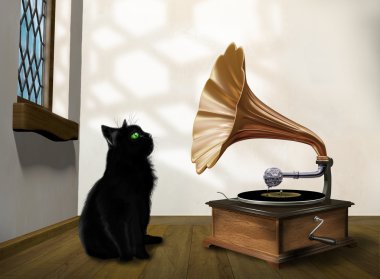 gramofon ile kedi