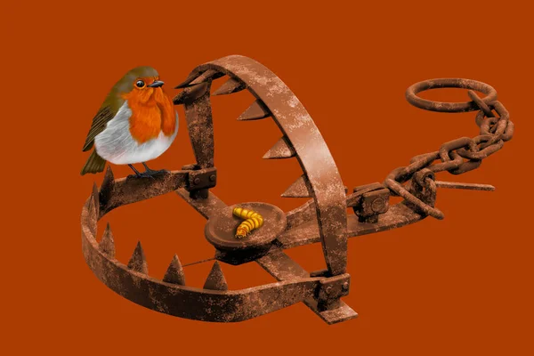 生锈的知更鸟正在寻找美味的食物 但这一次蠕虫有了一个巧妙的计划 — 图库照片
