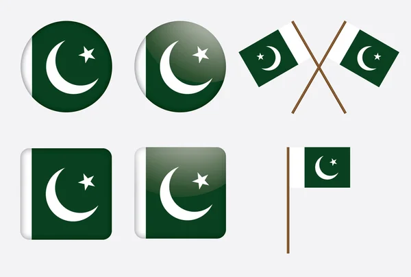Abzeichen mit der Flagge von Pakistan — Stockvektor