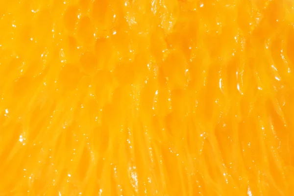 Pulp Orange — Stock fotografie