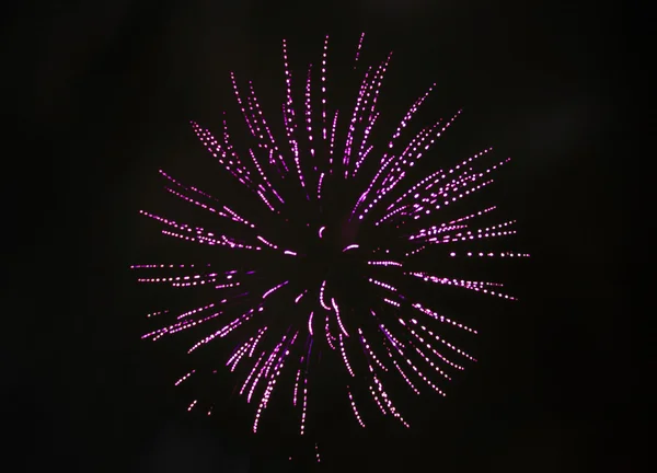 Feux d'artifice — Photo