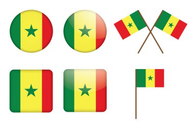 rozetleri ile senegal Cumhuriyeti bayrağı