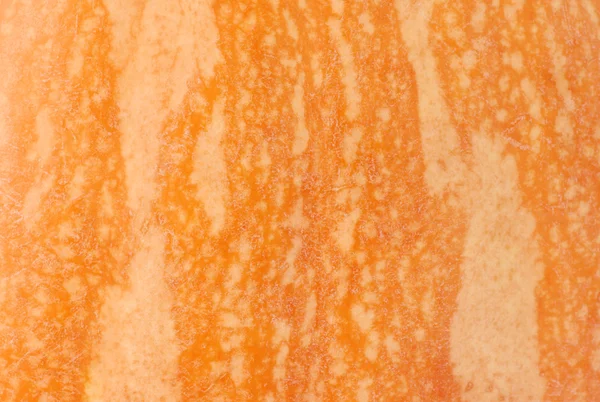 Texture di zucca — Foto Stock