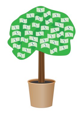 bir tencerede para ağacı