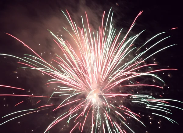 Feuerwerk — Stockfoto