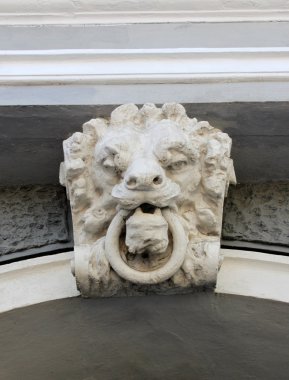 Aslan başkanı