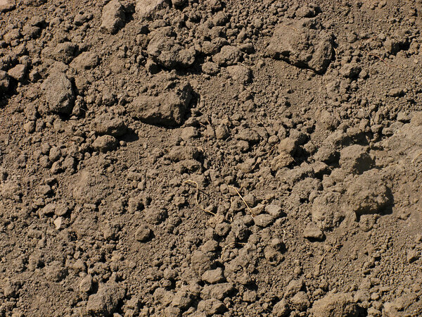 Почва на поле
