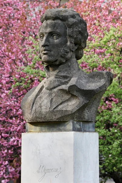 Monument voor Poesjkin — Stockfoto