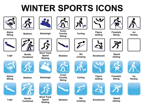 Winter sports icons — Stock Vector