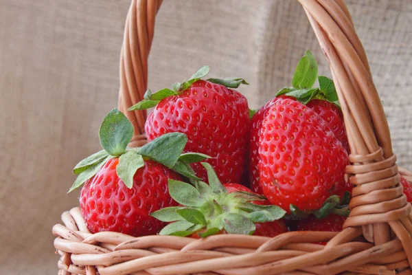 Korb mit Erdbeeren — Stockfoto