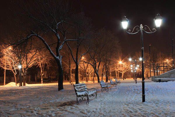 Park at winter