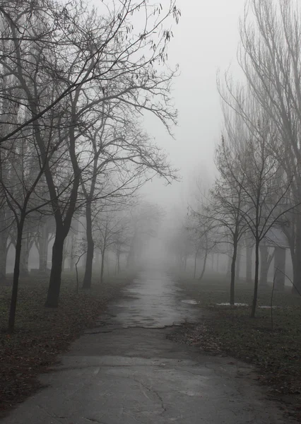 霧深い天候 — ストック写真