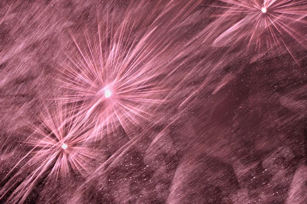 Violet fireworks — Stock Photo, Image