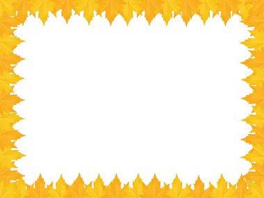 çerçeve yapılmış akçaağaç yaprakları