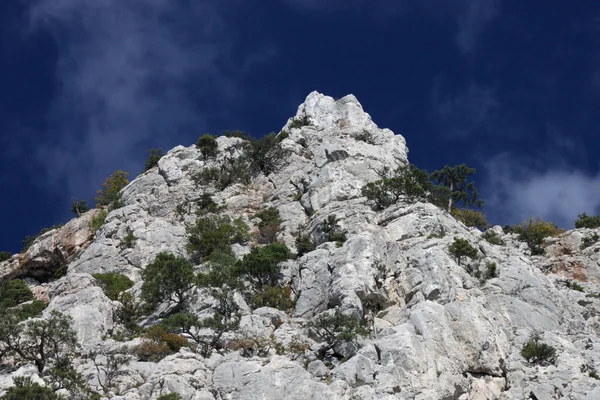 Gipfel des Berges — Stockfoto