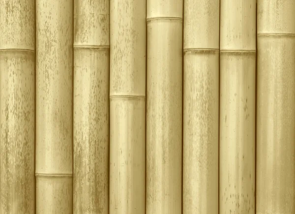 Wand aus Bambusbohlen — Stockfoto