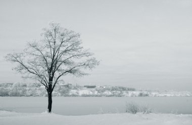 riverside adlı kış ağaca