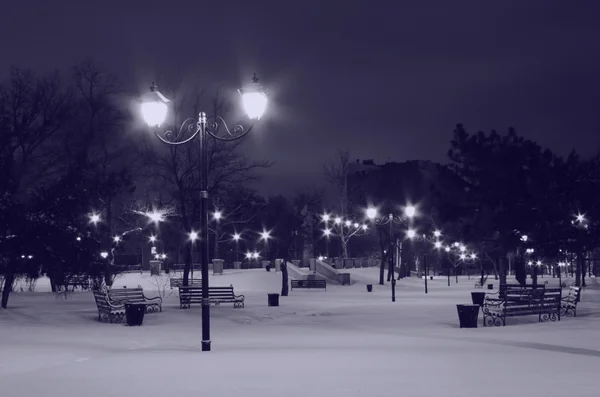 Parque en la noche de invierno — Foto de Stock