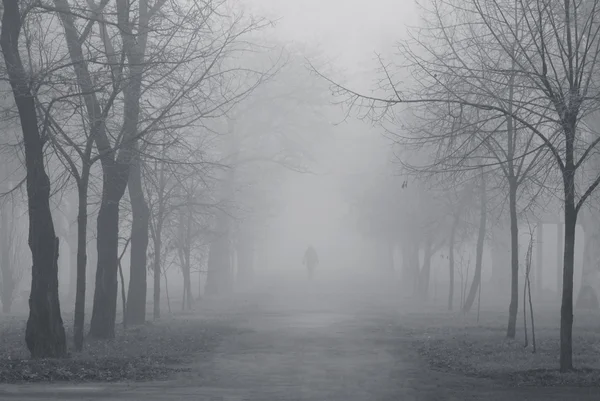 霧の公園 — ストック写真