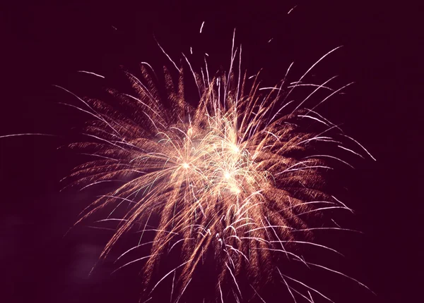 Feuerwerk am Nachthimmel — Stockfoto