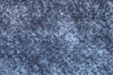 gri keçe yakın çekim