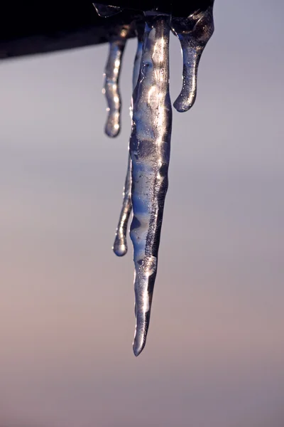 Icicle — Stock fotografie