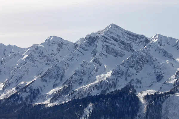 Montañas en invierno — Foto de Stock