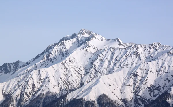 Gipfel des Berges — Stockfoto