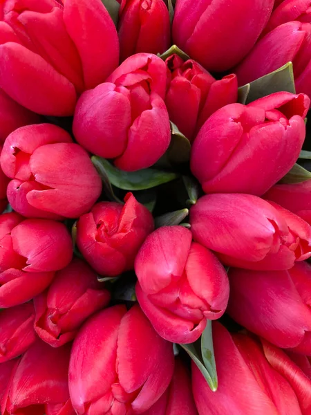 Großaufnahme Eines Großen Straußes Roter Tulpen — Stockfoto