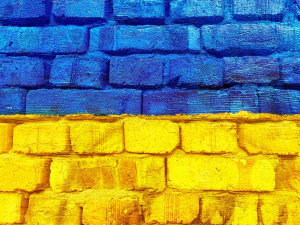 Stand Com Pano Fundo Ucrânia Bandeira Ucraniana Brilhante Pintado Parede — Fotografia de Stock