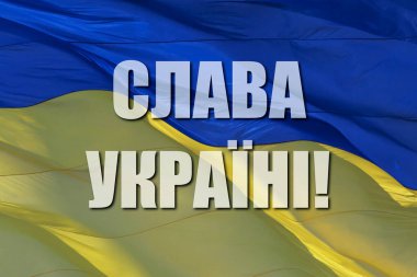 Slogan: Ulusal bayrak sallayarak Ukrayna 'ya şan ve şeref