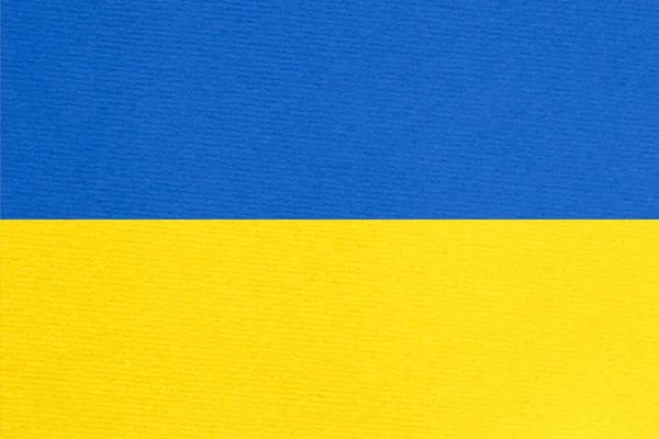 Stand Ukraine Backdrop Bandeira Ucraniana Pintada Papelão — Fotografia de Stock