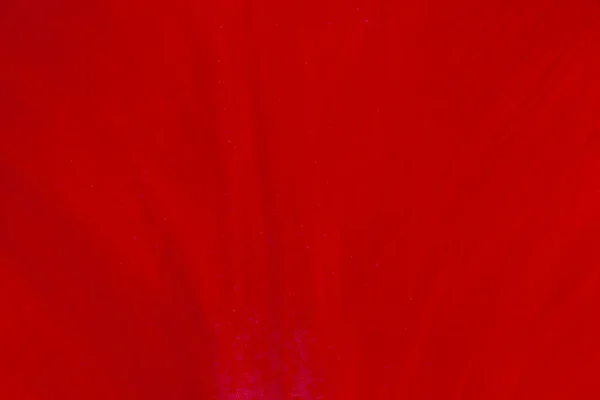 Abstract Natural Background Close Red Tulip Petal — Stock Photo, Image