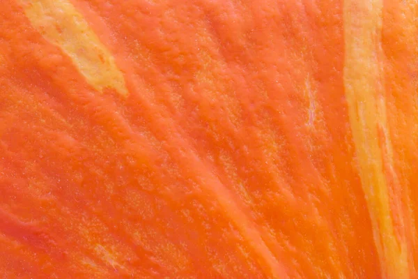 Abstract Halloween Background Close Orange Pumpkin Skin Texture — Zdjęcie stockowe