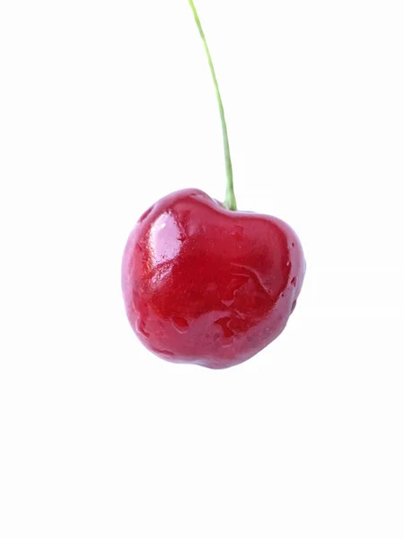 Close Wet Red Cherry Isolated White Background — Stock Photo, Image