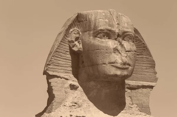 Close Head Great Sphinx Giza — Stockfoto