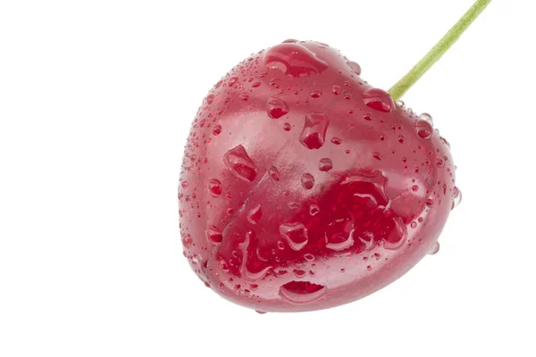 Close Wet Ripe Red Cherry Isolated White — Foto Stock