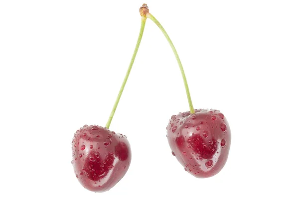 Couple Wet Red Cherries Isolated White Background — Foto de Stock