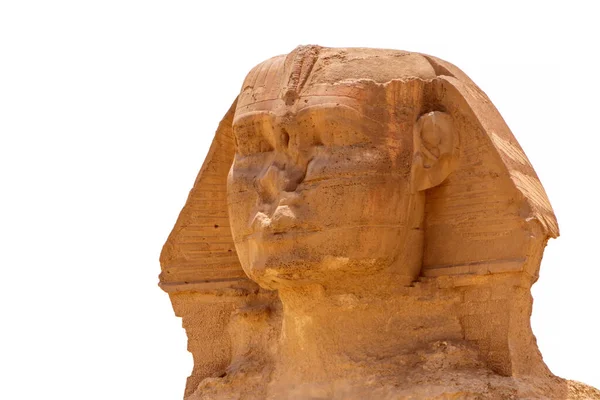 Close Head Sphinx Giza Isolated White Background — Fotografia de Stock